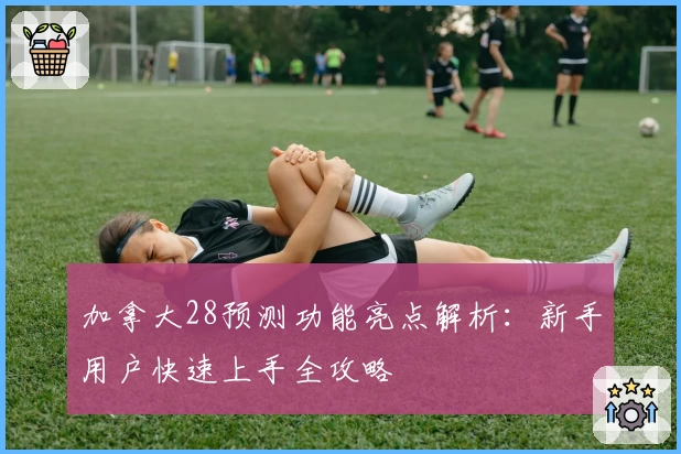 加拿大28预测功能亮点解析：新手用户快速上手全攻略