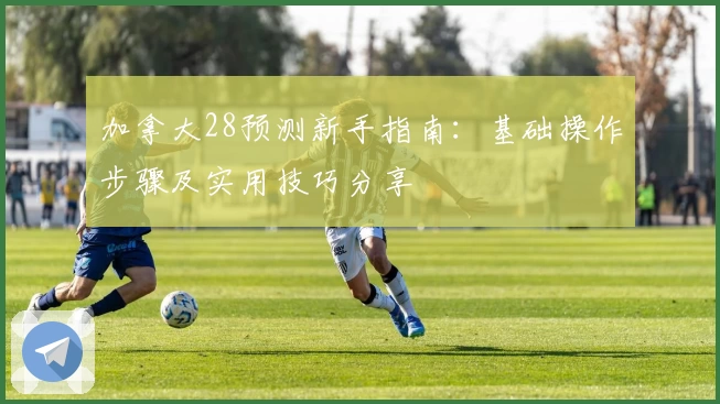 加拿大28预测新手指南：基础操作步骤及实用技巧分享