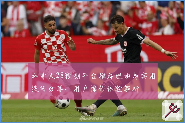 加拿大28预测平台推荐理由与实用技巧分享，用户操作体验解析
