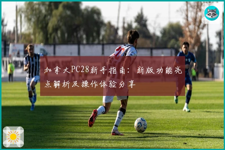 加拿大PC28新手指南：新版功能亮点解析及操作体验分享