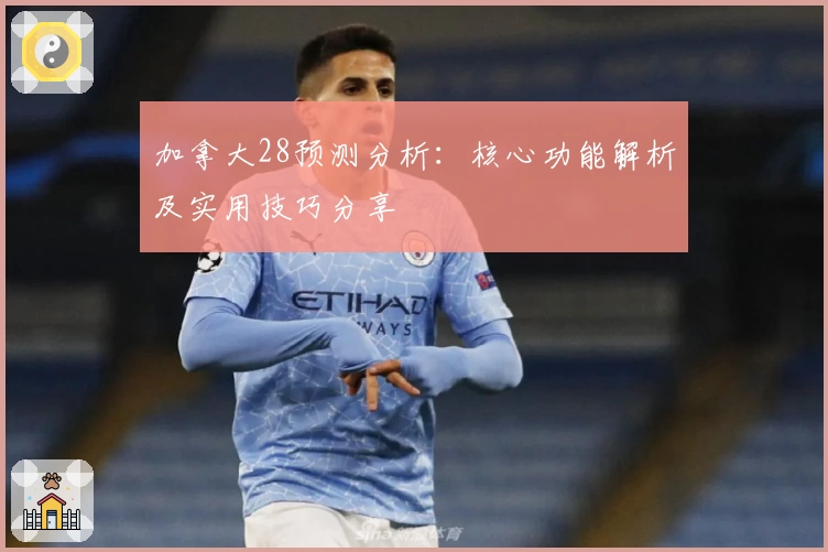 加拿大28预测分析：核心功能解析及实用技巧分享