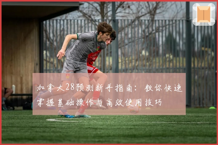 加拿大28预测新手指南：教你快速掌握基础操作与高效使用技巧