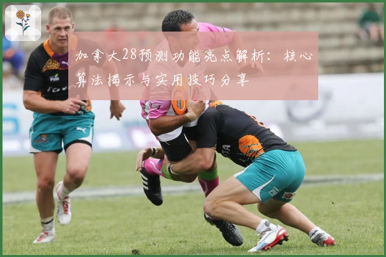 加拿大28预测功能亮点解析：核心算法揭示与实用技巧分享