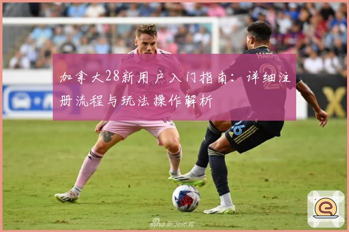 加拿大28新用户入门指南：详细注册流程与玩法操作解析