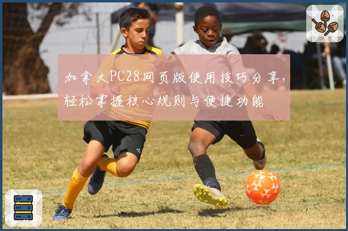 加拿大PC28网页版使用技巧分享，轻松掌握核心规则与便捷功能