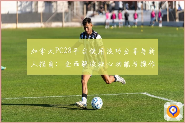 加拿大PC28平台使用技巧分享与新人指南：全面解读核心功能与操作体验