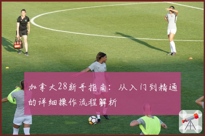 加拿大28新手指南：从入门到精通的详细操作流程解析