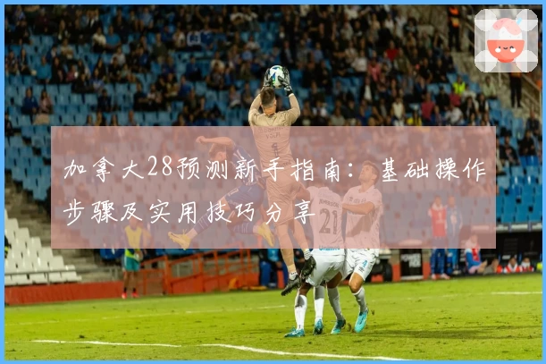 加拿大28预测新手指南：基础操作步骤及实用技巧分享