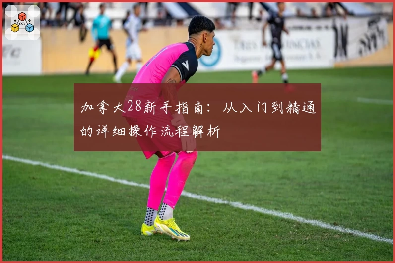 加拿大28新手指南：从入门到精通的详细操作流程解析